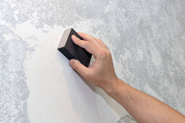 Best Mold Odor Removal Services  in Inman, SC