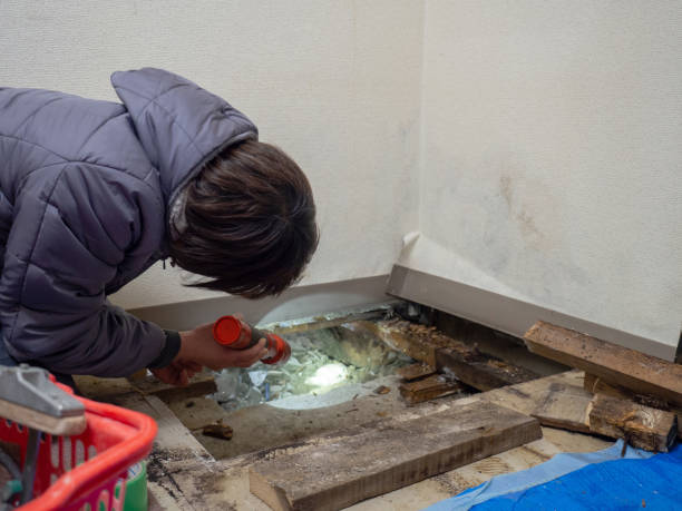 Best Mold Remediation for Healthcare Facilities  in Inman, SC