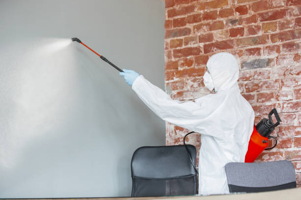Mold Odor Removal Services in Inman, SC