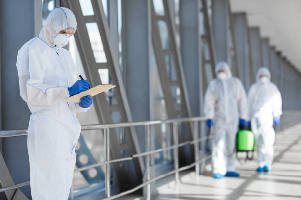  Inman, SC Mold Removal Pros
