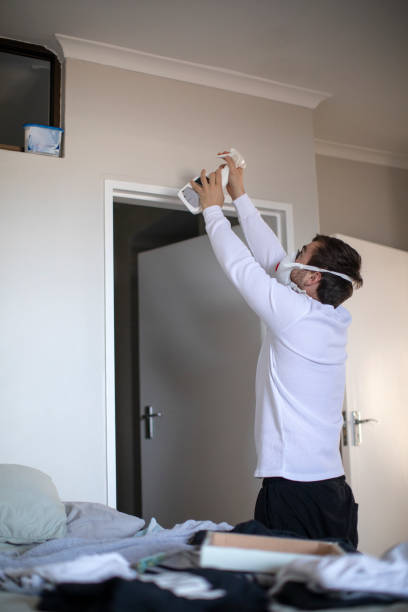 Reliable Inman, SC Mold Removal Solutions