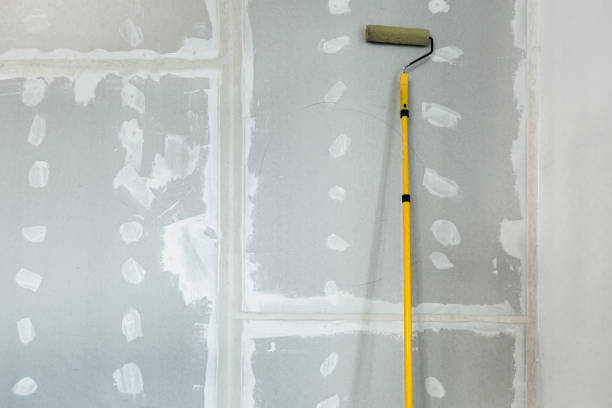 Best Environmental Consulting for Mold Prevention  in Inman, SC