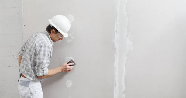Best Basement Mold Removal  in Inman, SC