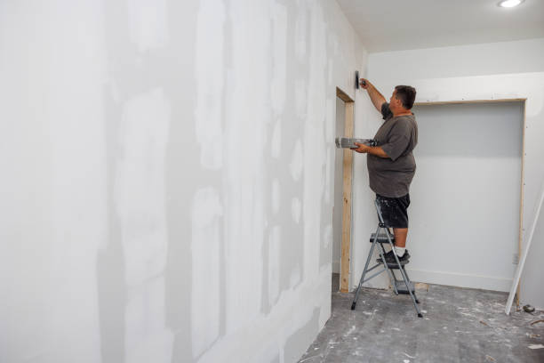 Best Air Quality Testing for Mold Spores  in Inman, SC
