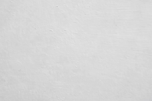 Best Mold Damage Restoration  in Inman, SC