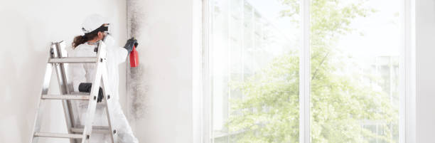 Best Asbestos and Lead Testing During Mold Inspection  in Inman, SC
