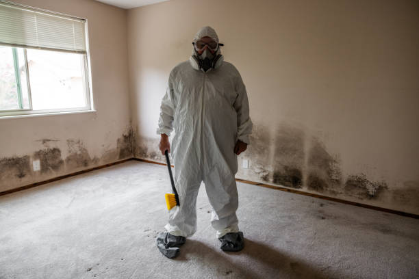Mold Removal for HVAC Installations in Inman, SC