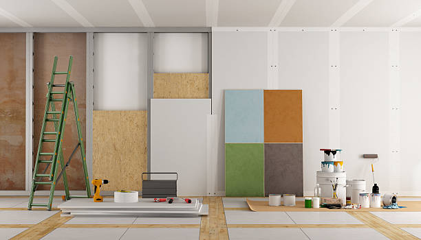 Best Mold Odor Removal Services  in Inman, SC
