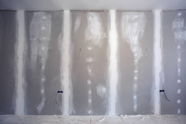 Best Mold Remediation for Healthcare Facilities  in Inman, SC