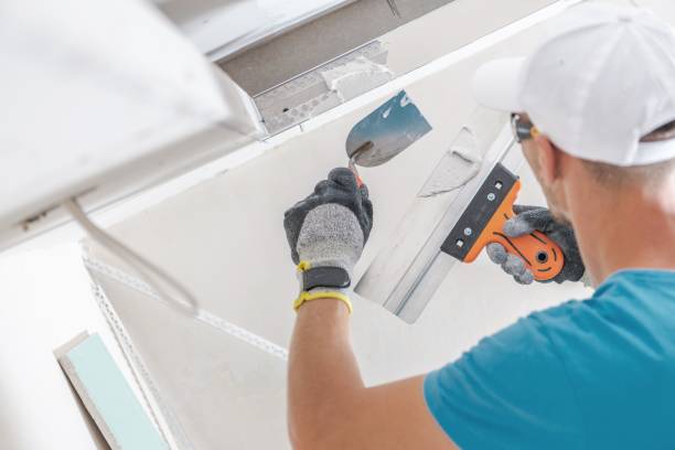 Best Residential Mold Inspection & Testing  in Inman, SC